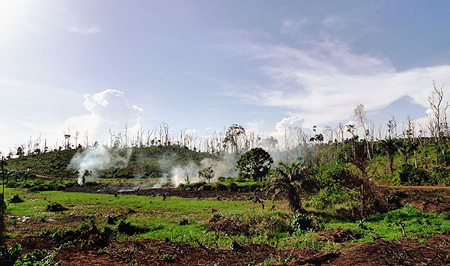 deforestation-in-africa1