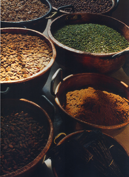 spices-herbs