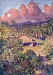 sulu2