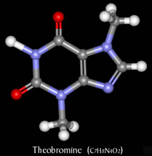 theobromine3