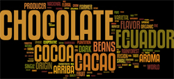 wordcloud-choc3